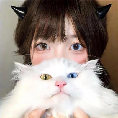 爱的猎犬